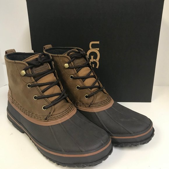 ugg zetik chestnut
